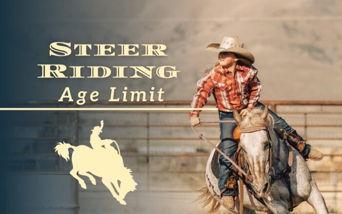 Steer Riding Age Limit